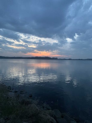 Maasholmer Kunstwoche